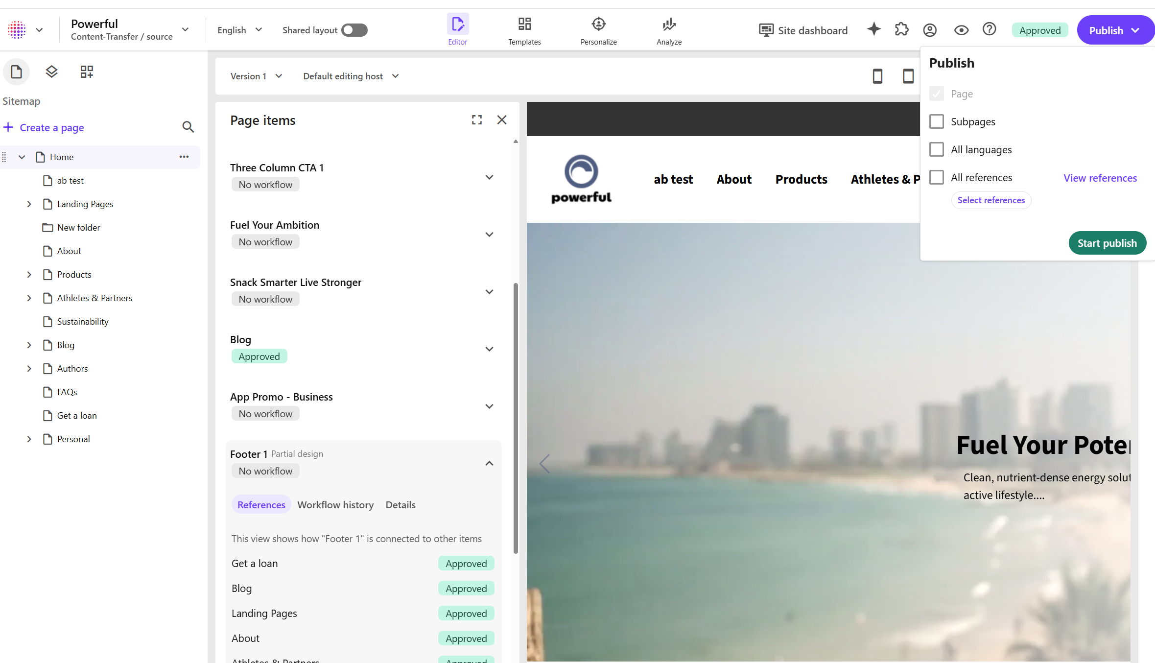 Enhanced visibility and control for page items and publishing
