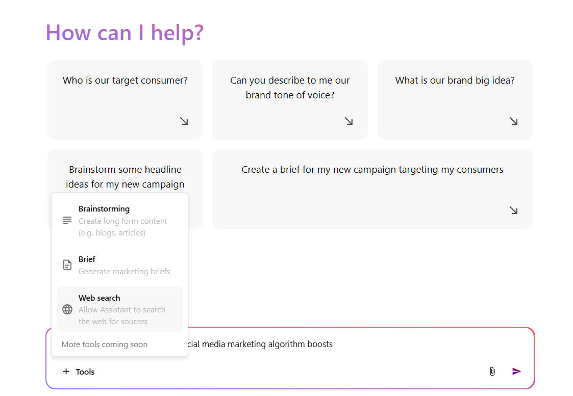Dedicated web search tool now available in Brand Assistant